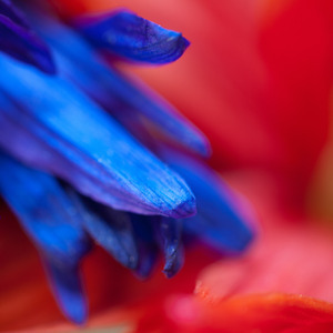 Uber Exif Photo