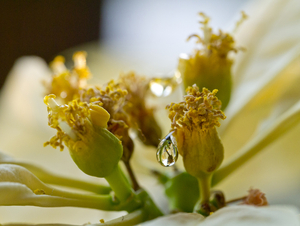 Uber Exif Photo