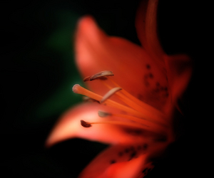 Uber Exif Photo