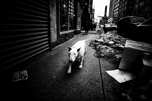 Uber Exif Photo