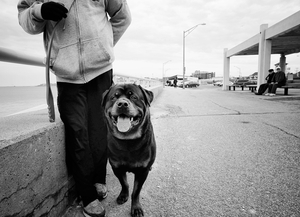 Uber Exif Photo