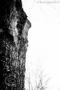 Uber Exif Photo