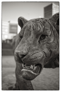 Uber Exif Photo