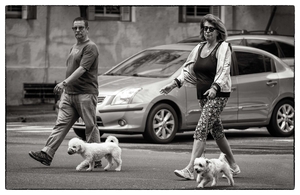 Uber Exif Photo