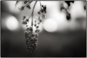 Uber Exif Photo