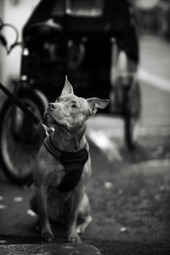 Uber Exif Photo