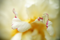 Uber Exif Photo