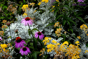 Uber Exif Photo