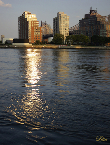Uber Exif Photo