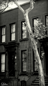 Uber Exif Photo