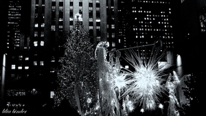 Uber Exif Photo