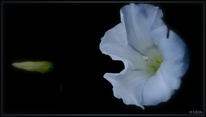 Uber Exif Photo