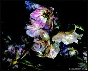 Uber Exif Photo