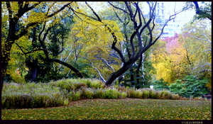 Uber Exif Photo