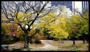 Uber Exif Photo