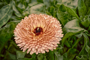 Uber Exif Photo