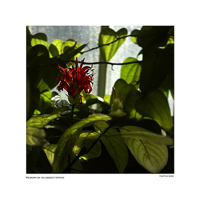 Uber Exif Photo