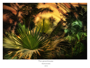 Uber Exif Photo