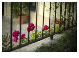 Uber Exif Photo