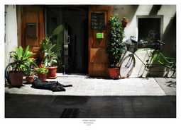Uber Exif Photo
