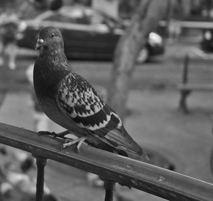 Uber Exif Photo