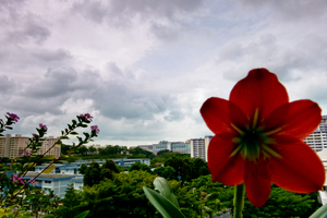 Uber Exif Photo