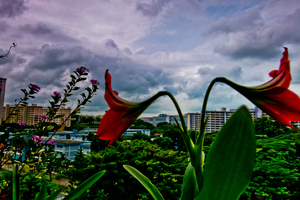 Uber Exif Photo