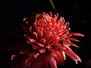 Uber Exif Photo