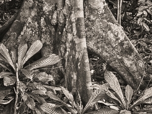 Uber Exif Photo