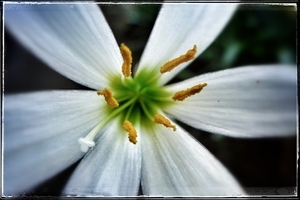Uber Exif Photo
