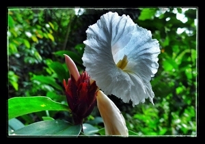 Uber Exif Photo