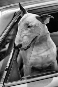 Uber Exif Photo