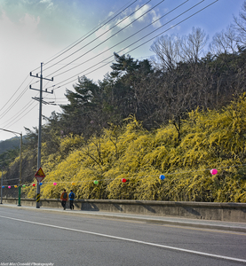 Uber Exif Photo