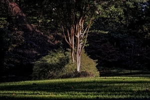 Uber Exif Photo