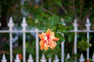 Uber Exif Photo