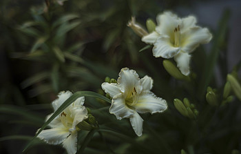 Uber Exif Photo