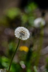 Uber Exif Photo