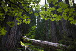 Uber Exif Photo
