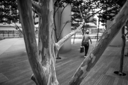 Uber Exif Photo