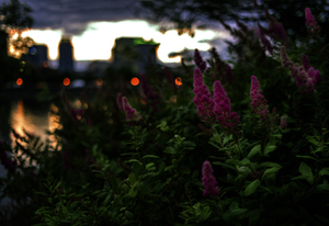Uber Exif Photo