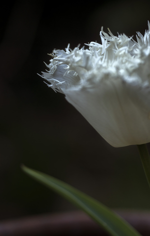 Uber Exif Photo