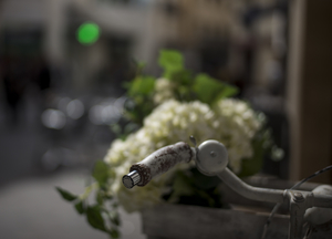 Uber Exif Photo