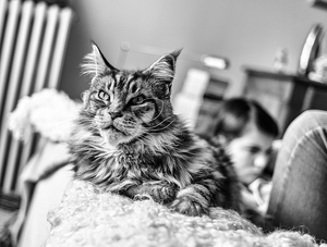 Uber Exif Photo