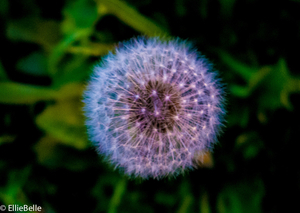 Uber Exif Photo