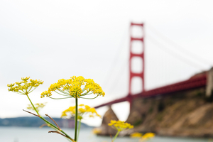 Uber Exif Photo