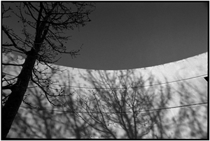 Uber Exif Photo