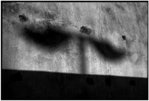Uber Exif Photo