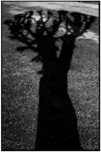 Uber Exif Photo