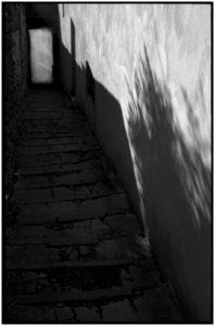 Uber Exif Photo