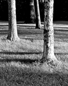Uber Exif Photo